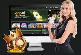bet59555